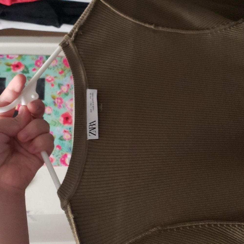 Zara dress